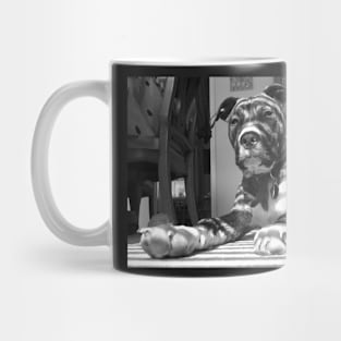 Cool Staffy Mug